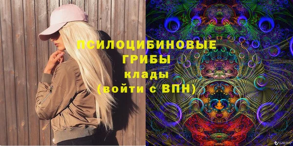 PSILOCYBIN Алексеевка