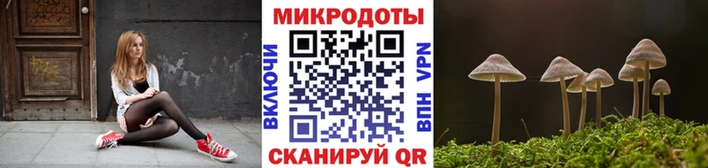 Галлюциногенные грибы мицелий  Белгород 