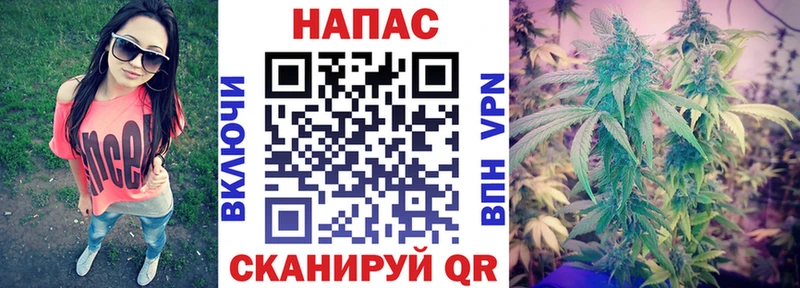 Бошки марихуана ГИДРОПОН  kraken как зайти  Белгород  где купить наркоту 